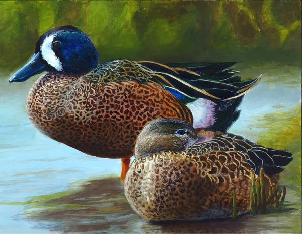 Teen takes top honors again for Florida Duck Stamp entry News